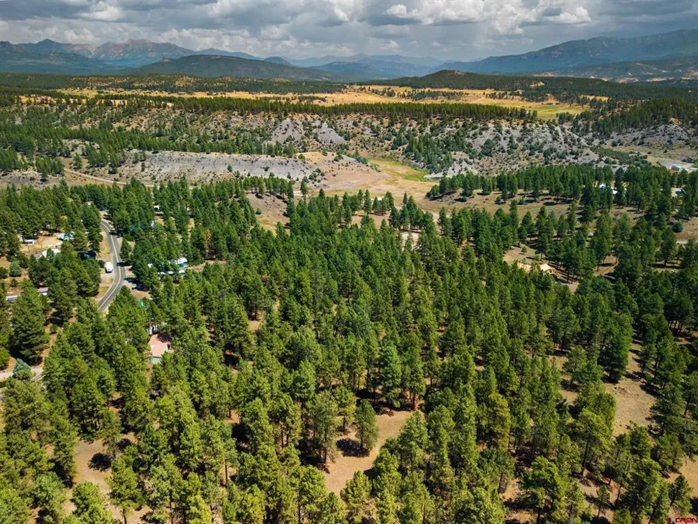 Bienvenido Circle Pagosa Springs, CO 81147