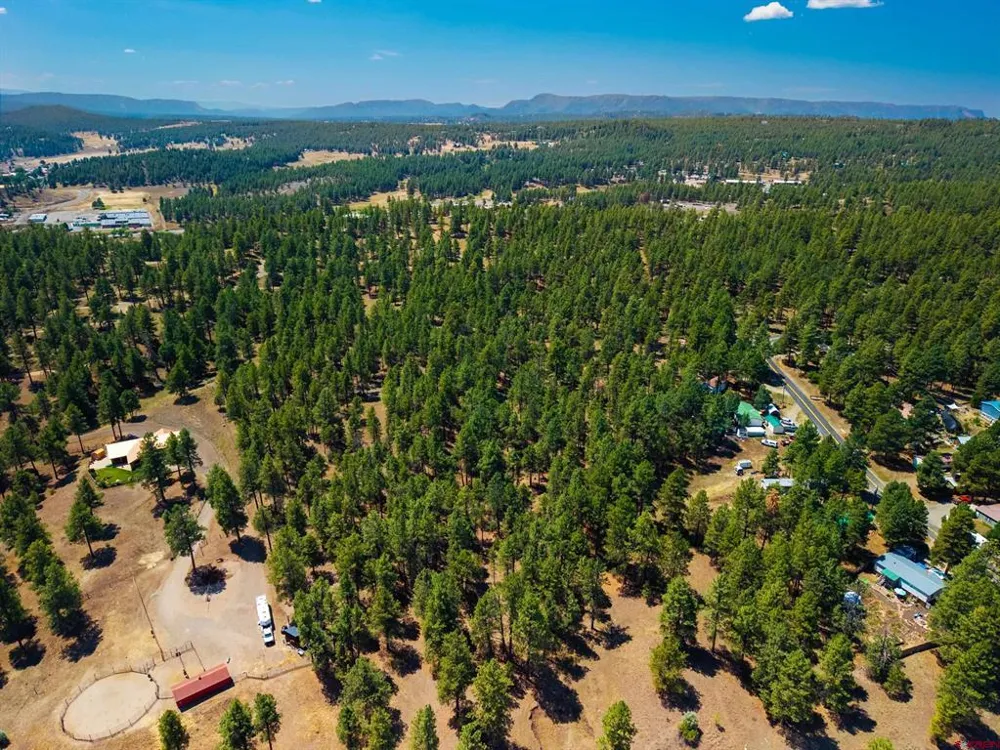 Bienvenido Circle Pagosa Springs, CO 81147