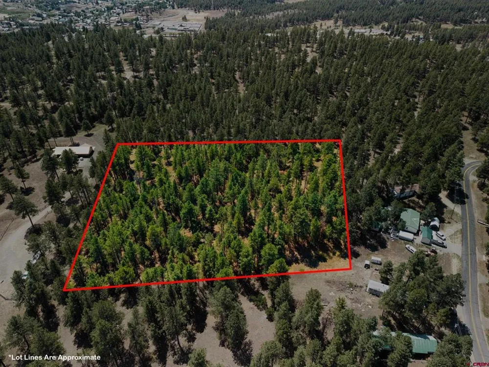 Bienvenido Circle Pagosa Springs, CO 81147