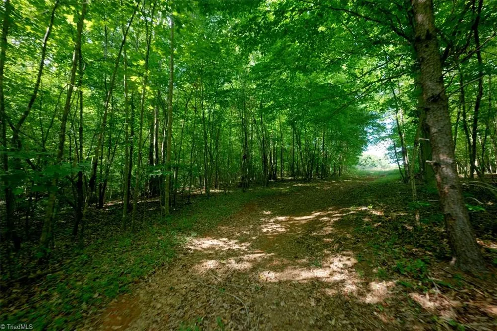 0 Tesh Road Germanton, NC 27019