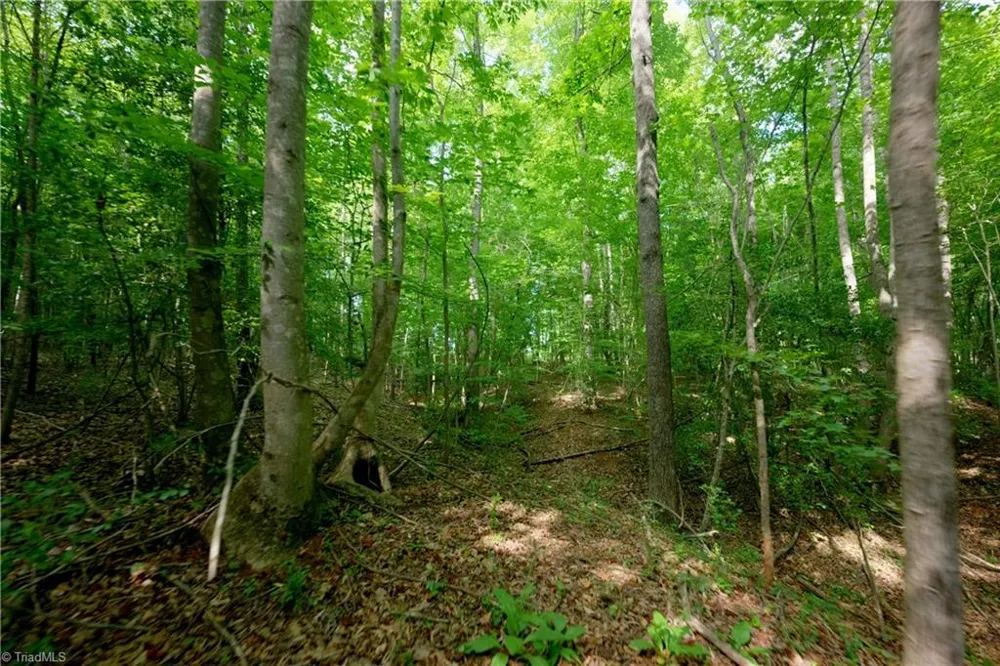 0 Tesh Road Germanton, NC 27019