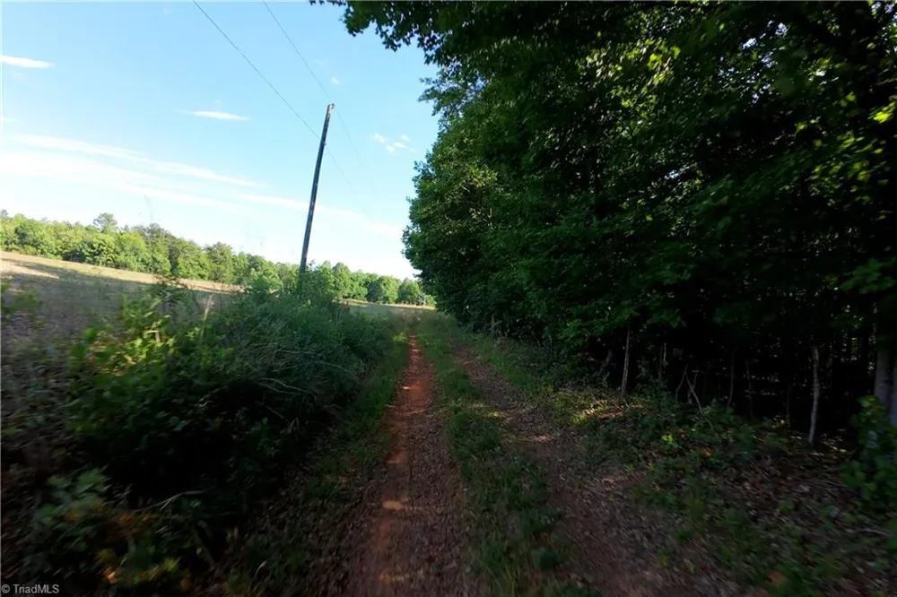 0 Tesh Road Germanton, NC 27019