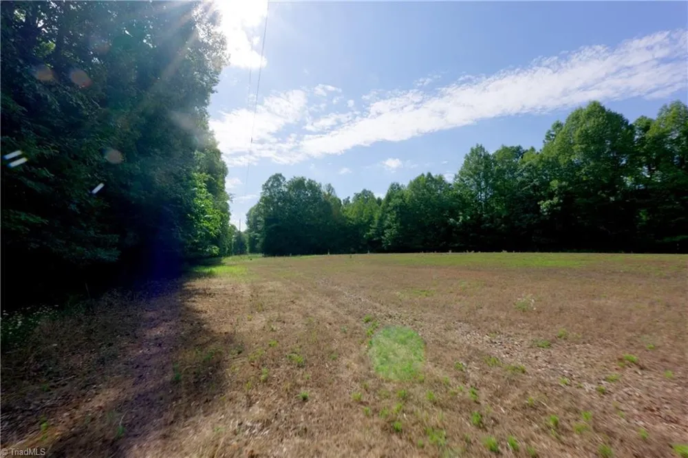 0 Tesh Road Germanton, NC 27019