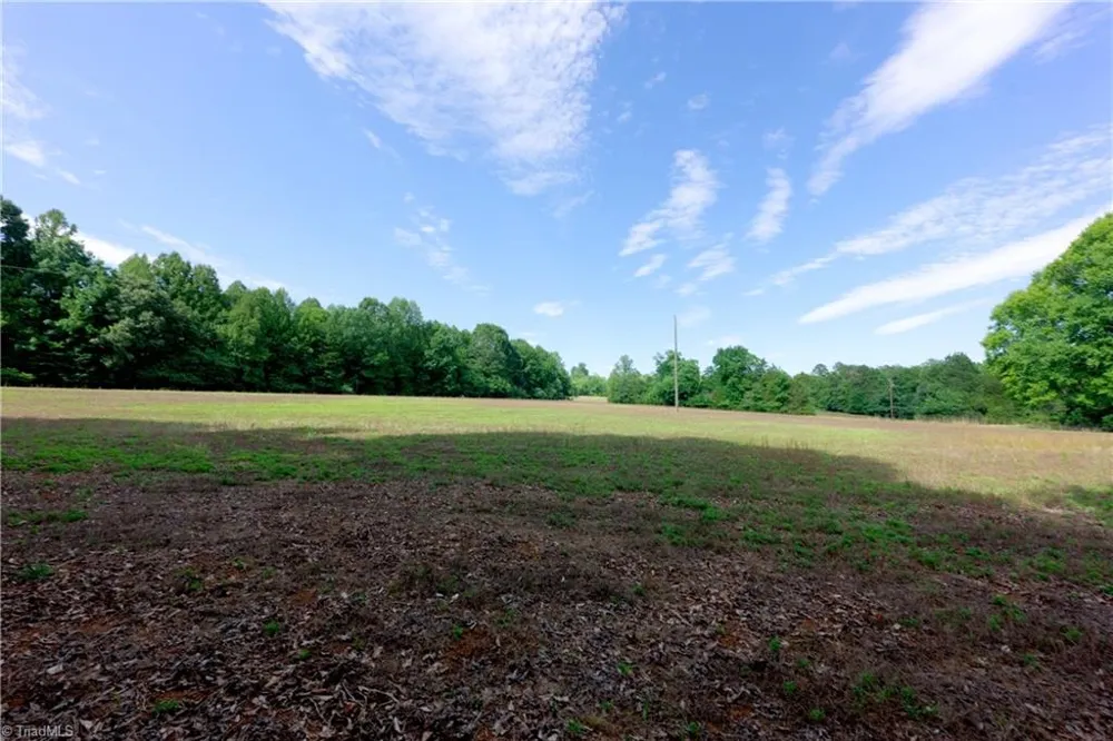 0 Tesh Road Germanton, NC 27019