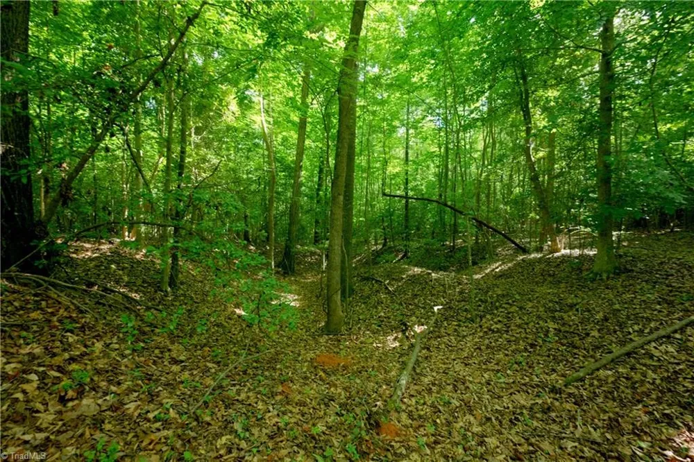 0 Tesh Road Germanton, NC 27019
