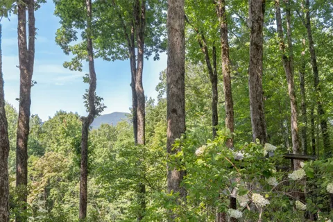 420 Highlands View Road