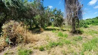 Mooney Lane Ingleside, TX 78362