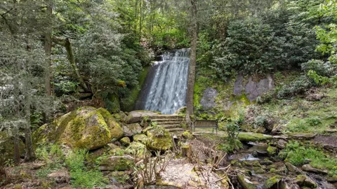 GOLD MINE RD