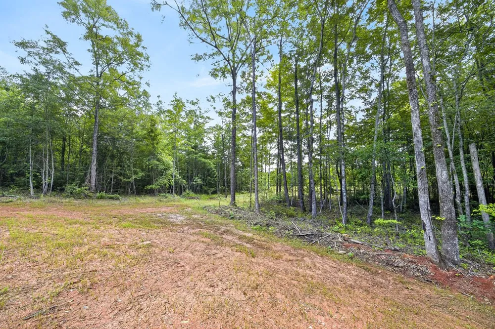 181 Twin Lakes Road Waverly Hall, GA 31831