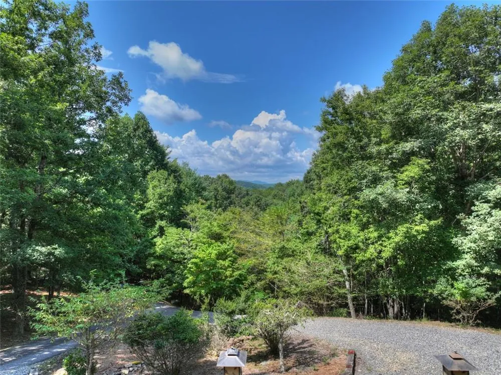 85 Squirrel Chase Morganton, GA 30560