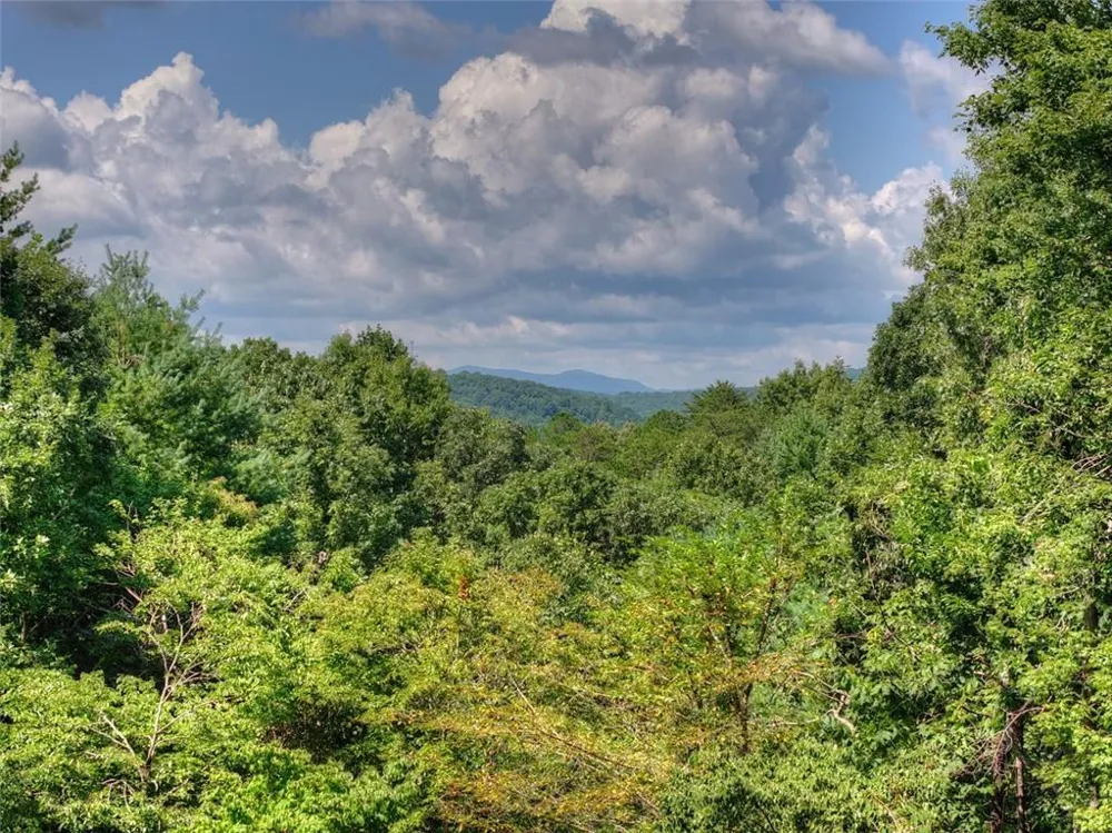 85 Squirrel Chase Morganton, GA 30560