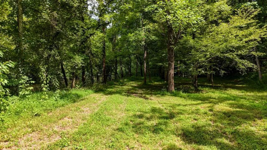 811 Belltown Road Tellico Plains, TN 37385