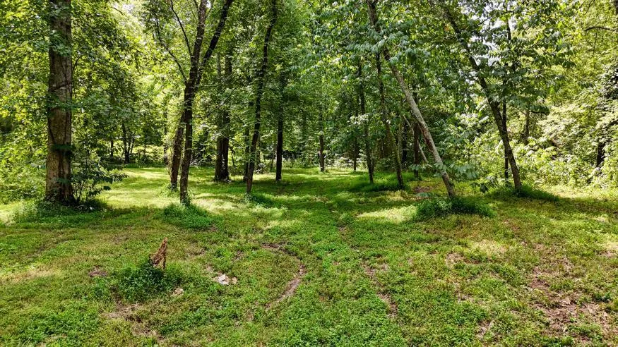 811 Belltown Road Tellico Plains, TN 37385
