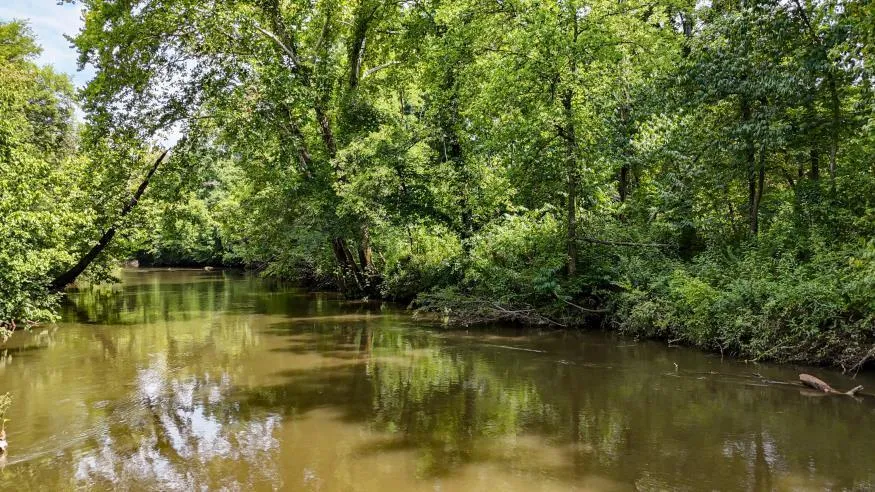 811 Belltown Road Tellico Plains, TN 37385