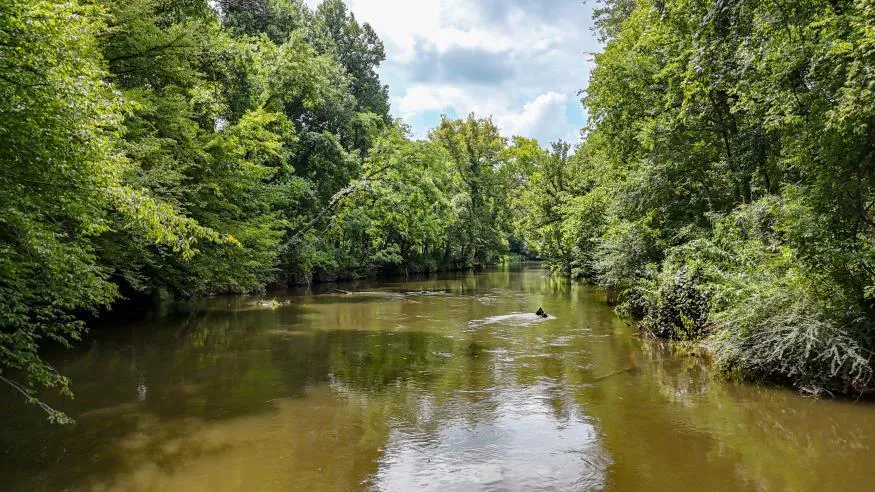 811 Belltown Road Tellico Plains, TN 37385