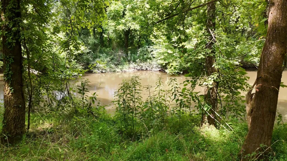 811 Belltown Road Tellico Plains, TN 37385