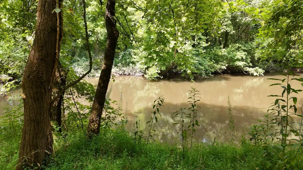 811 Belltown Road Tellico Plains, TN 37385