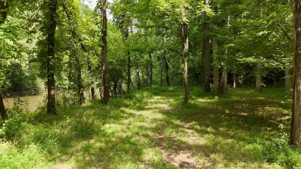 811 Belltown Road Tellico Plains, TN 37385