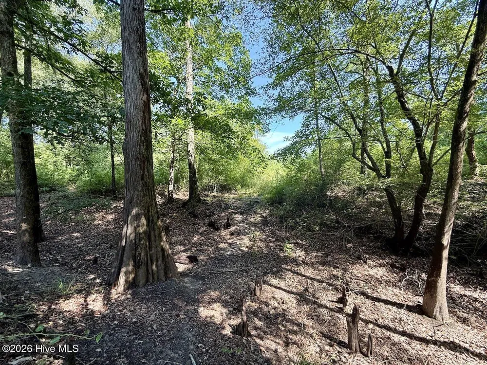 0 W Magnolia-Lisbon Road Garland, NC 28441