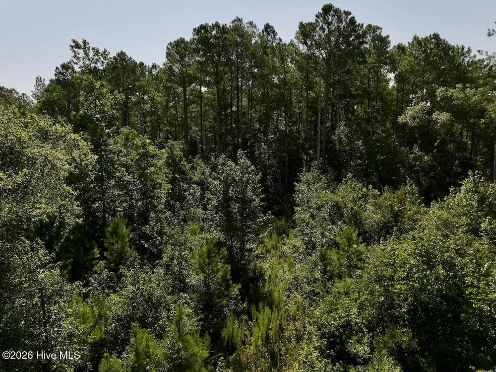 0 W Magnolia-Lisbon Road Garland, NC 28441