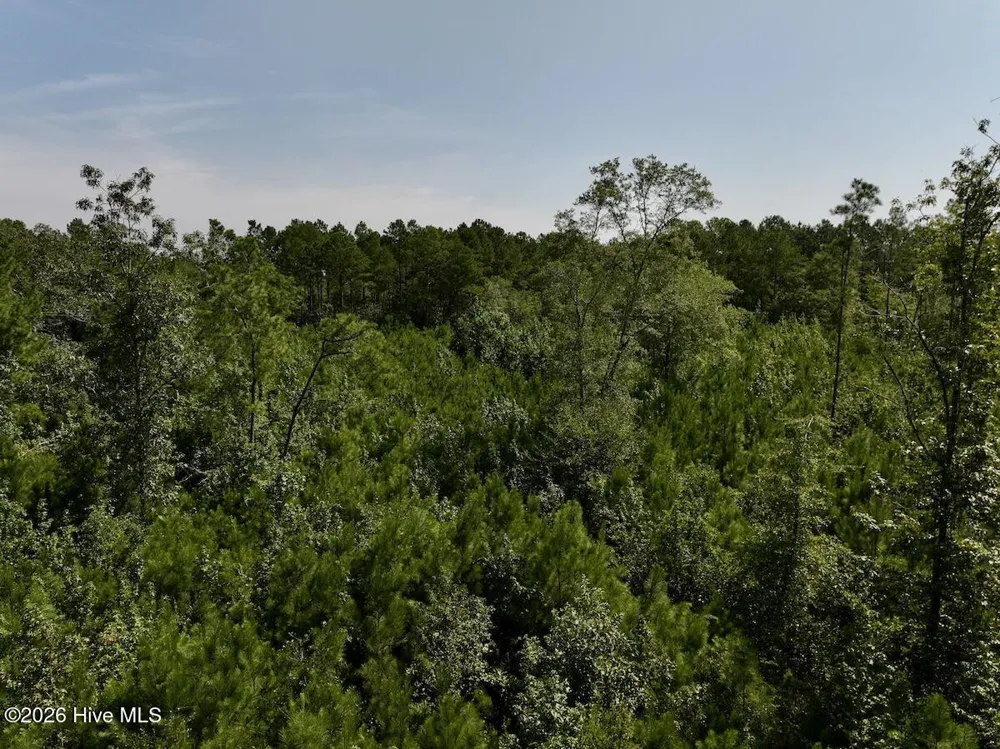 0 W Magnolia-Lisbon Road Garland, NC 28441