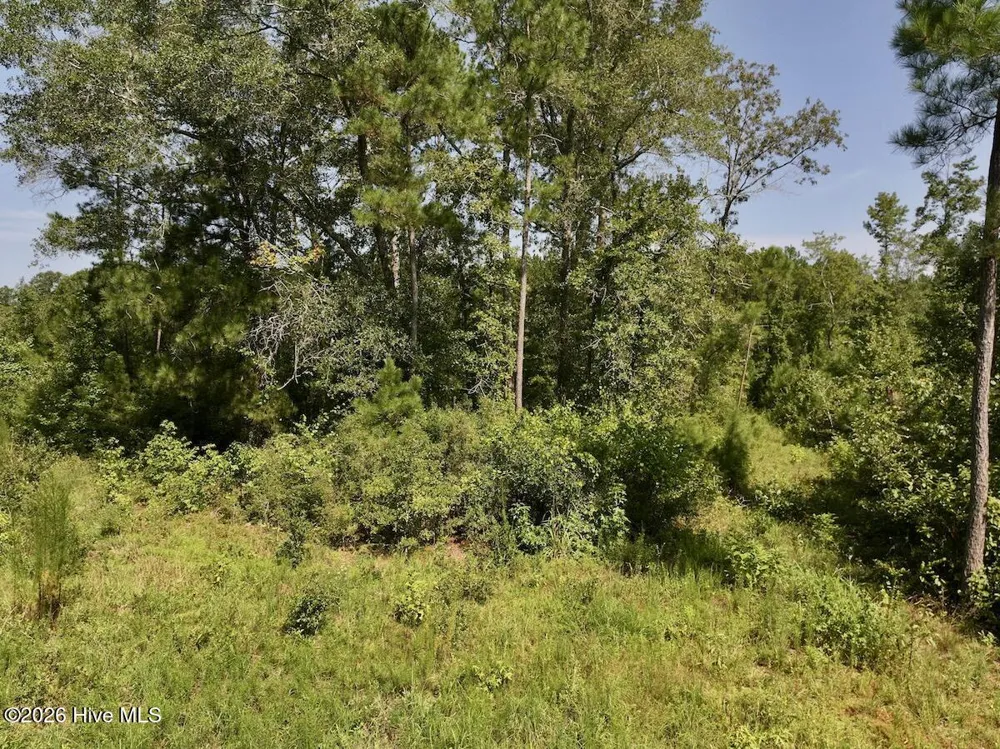 0 W Magnolia-Lisbon Road Garland, NC 28441
