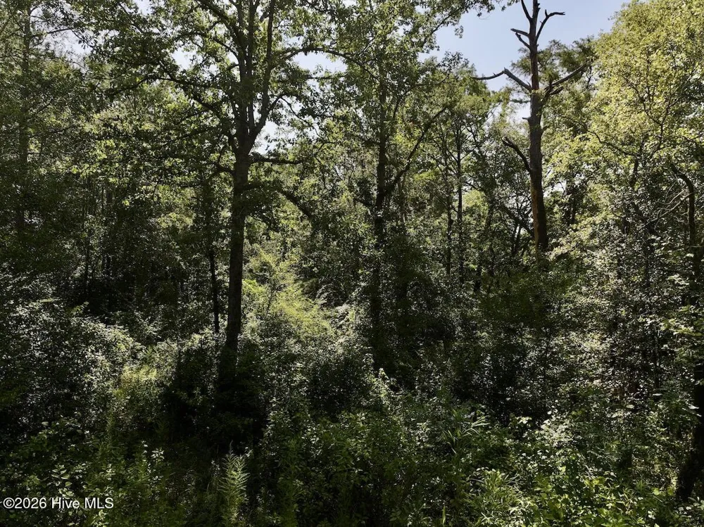 0 W Magnolia-Lisbon Road Garland, NC 28441