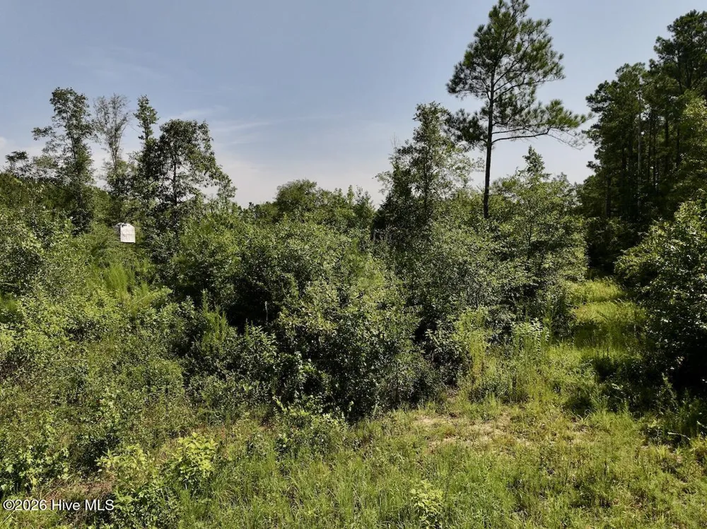 0 W Magnolia-Lisbon Road Garland, NC 28441