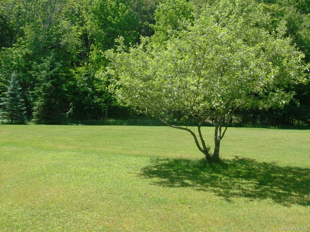 5 Riverside Drive Roscoe, NY 12776