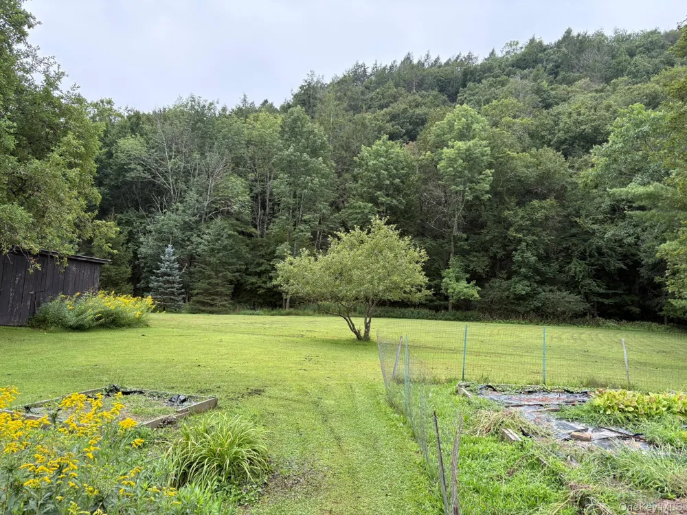 5 Riverside Drive Roscoe, NY 12776