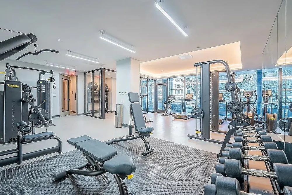 4530 Pearson Street #PH4C Long Island City, NY 11101