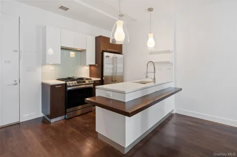 2-17 51st Avenue #419