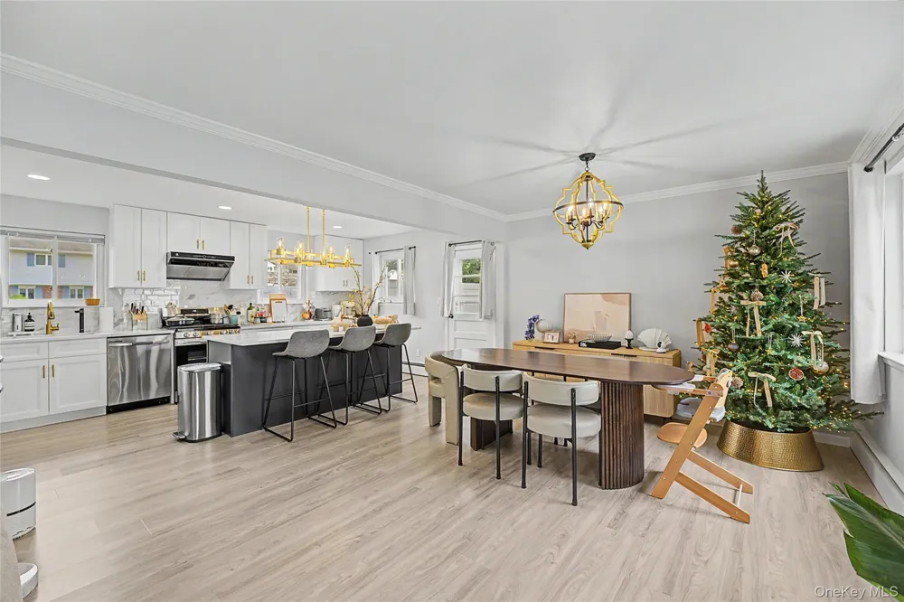 16 Hunt Place Bethpage, NY 11714