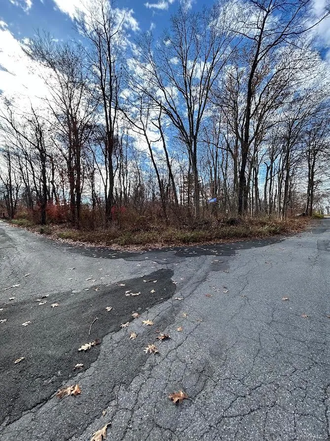 Anthony Road Carmel, NY 10512