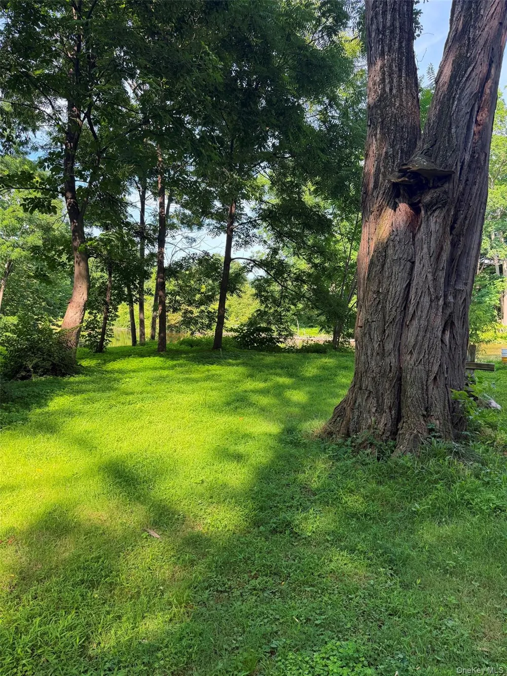 4 Wilbur Road Pleasant Valley, NY 12569
