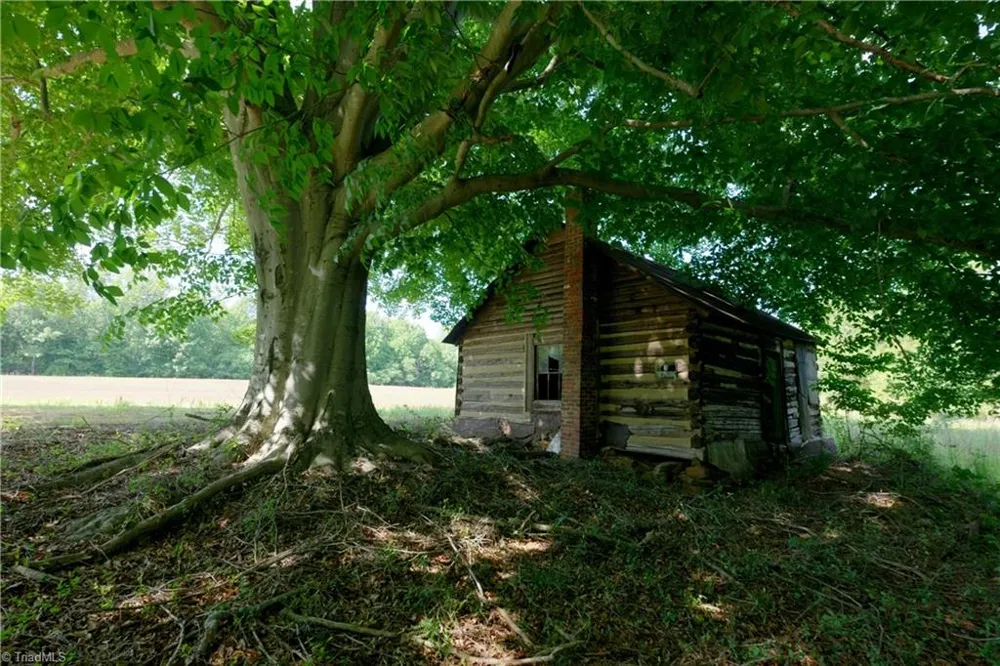 0 Tesh Road Germanton, NC 27019