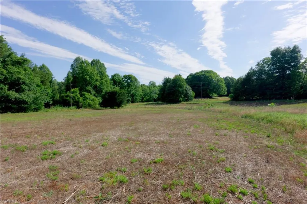 0 Tesh Road Germanton, NC 27019