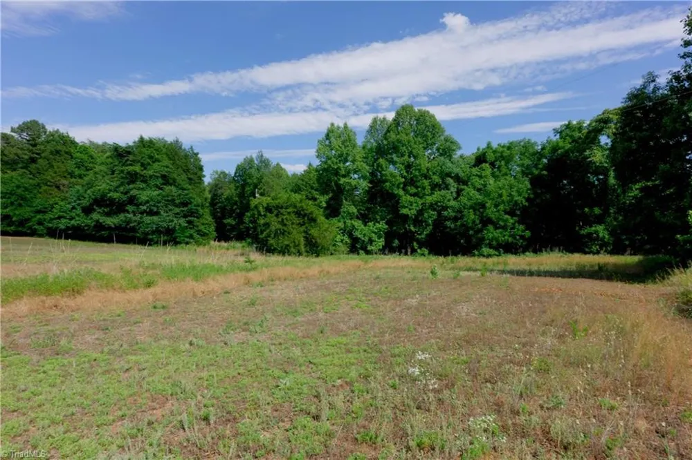 0 Tesh Road Germanton, NC 27019