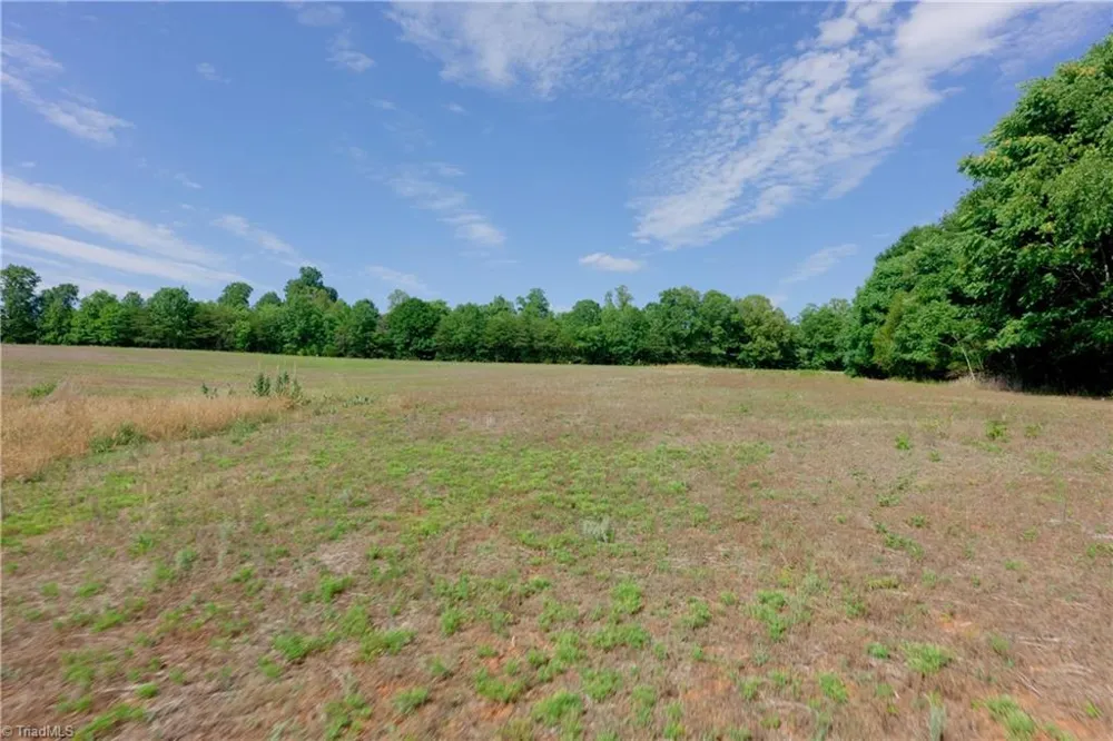 0 Tesh Road Germanton, NC 27019