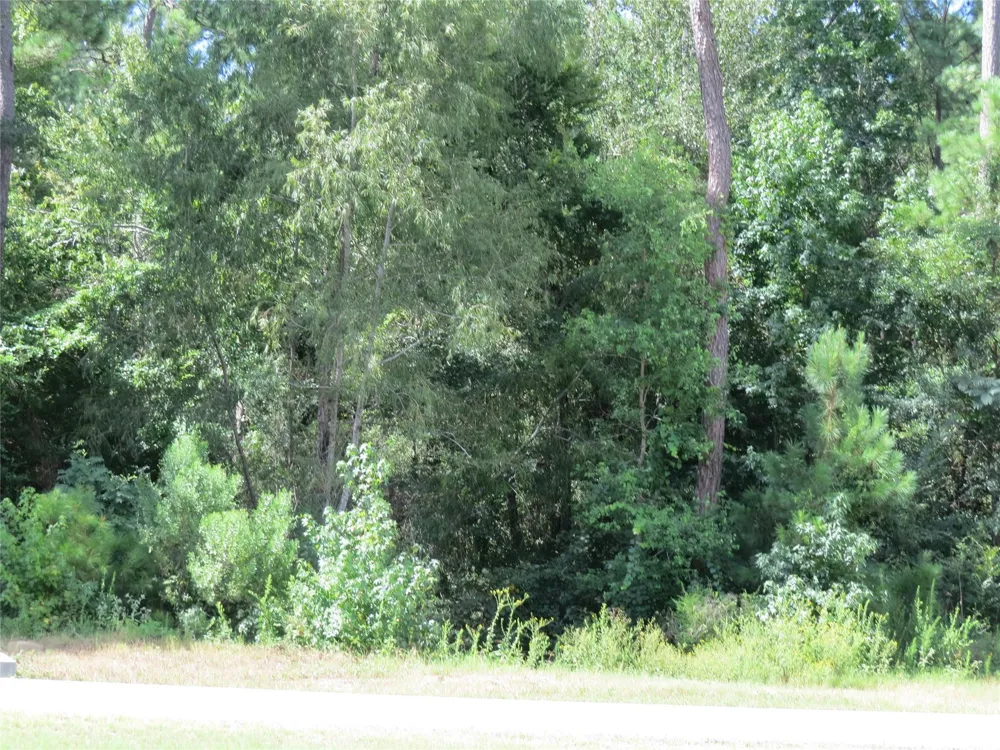 Texas Grand Road Huntsville, TX 77340