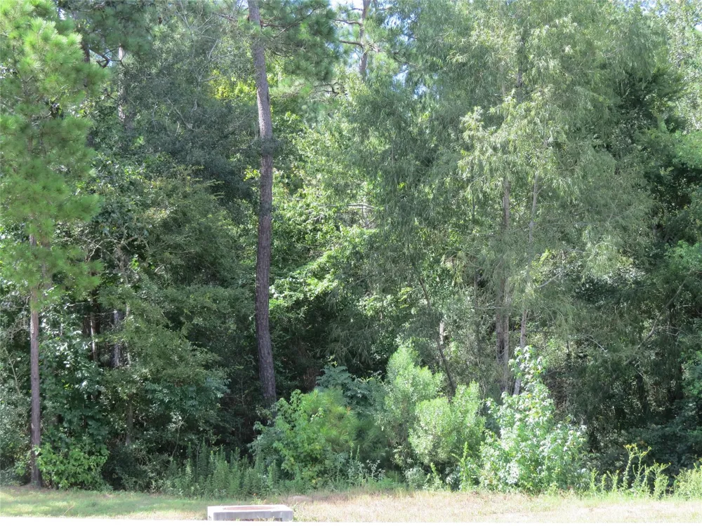 Texas Grand Road Huntsville, TX 77340