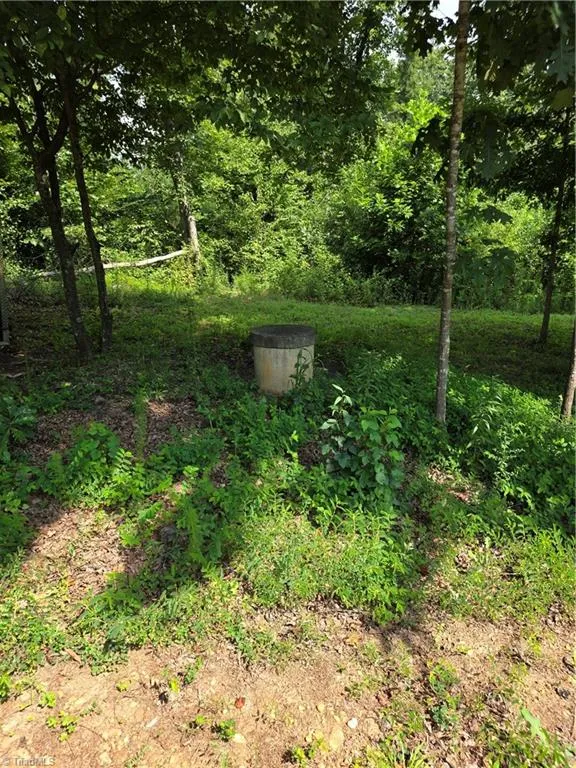 609 John Scott Road Pinnacle, NC 27043