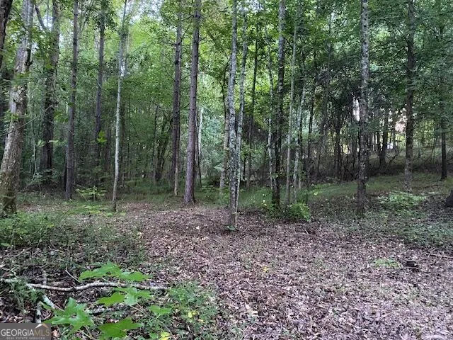 944 Muscovy LN Winder, GA 30680