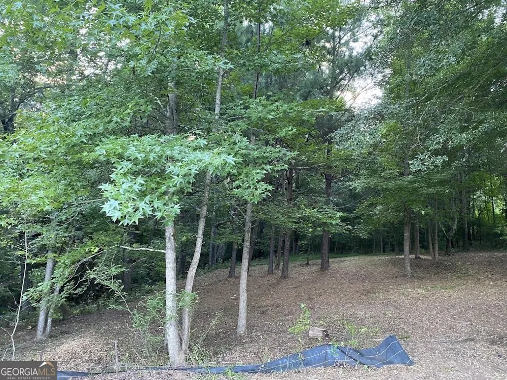 944 Muscovy LN Winder, GA 30680