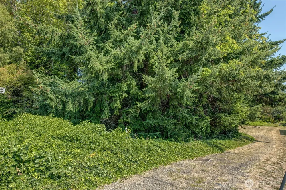 1239 Colchester Drive E Port Orchard, WA 98366