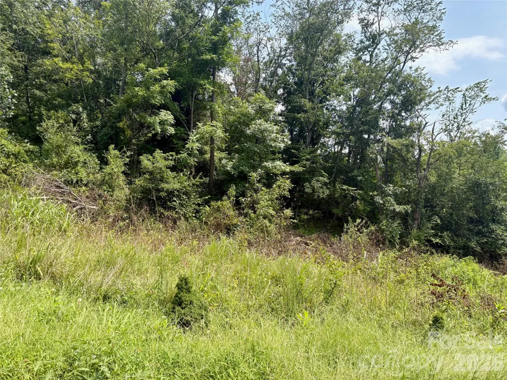 9999 Wescott Way Alexander, NC 28701