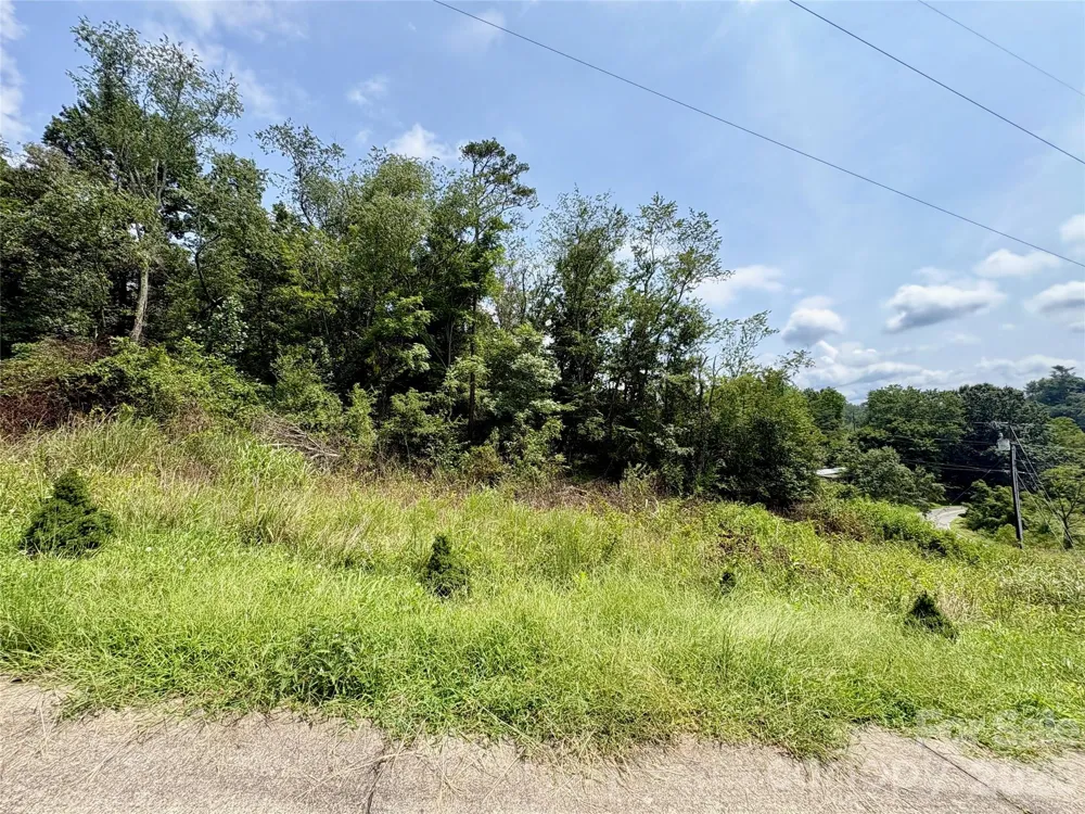 9999 Wescott Way Alexander, NC 28701