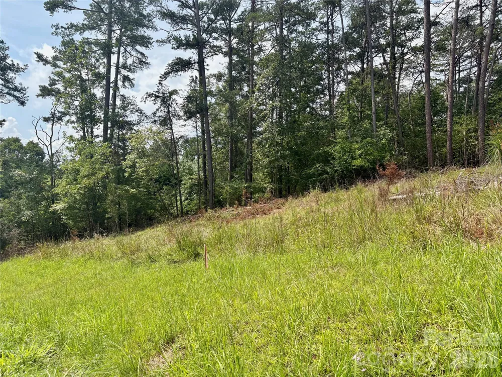 9999 Wescott Way Alexander, NC 28701