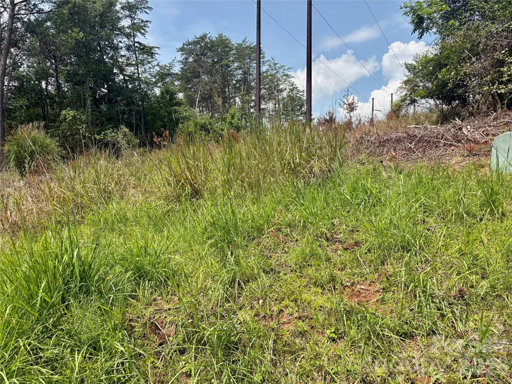 9999 Wescott Way Alexander, NC 28701