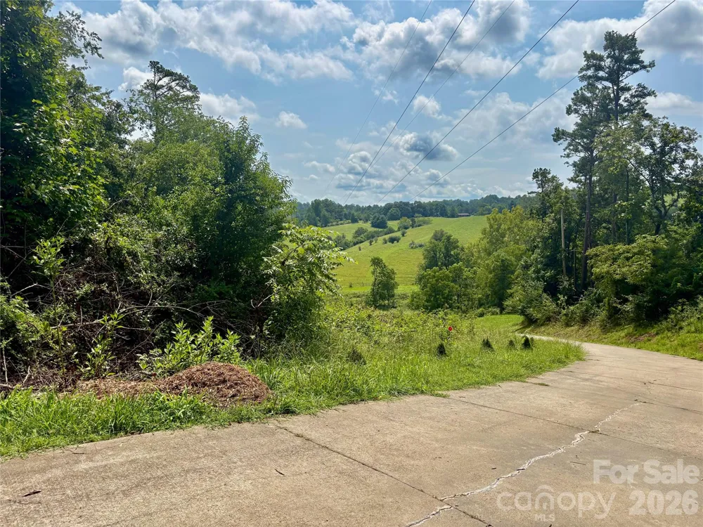 9999 Wescott Way Alexander, NC 28701